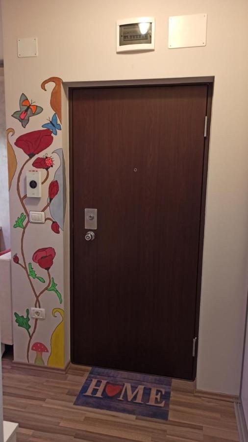 Cozy Home Bujorilor Тімішоара Екстер'єр фото